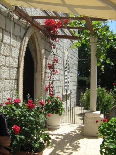 House Boninovo (adults Only)